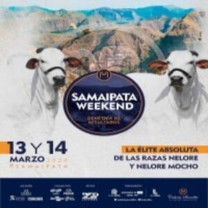 Leilão Samaipata Weekend