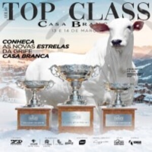 Leilão Virtual Top Class Casa Branca