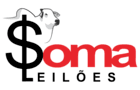 Soma Leilões