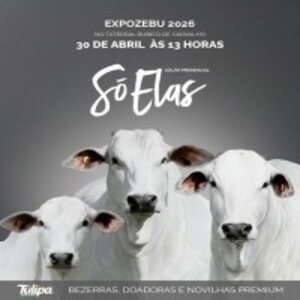 Leilão Presencial Só Elas - Expozebu 2026