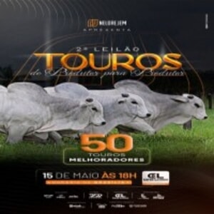 2º Leilão Touros de Produtor Para Produtor - Nelore JEM