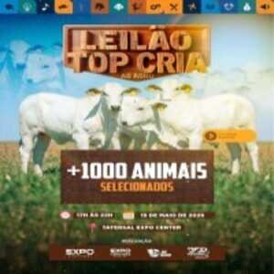 Leilão Top Cria AG Agro