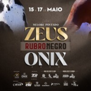Leilão Nelore Pintado Rubro Negro - 1ª Etapa