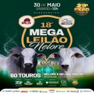 18° Mega Leilão Nelore - Angico e Marcovel