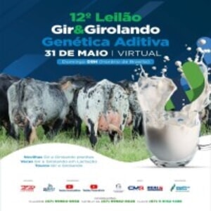 12º Leilão Virtual Gir e Girolando Genética Aditiva