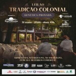 Leilão Virtual Tradição Colonial - Genética Provada