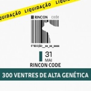 Leilão Virtual Rincon Code - 6ª Edição