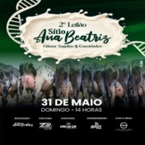 2º Leilão Sítio Ana Beatriz