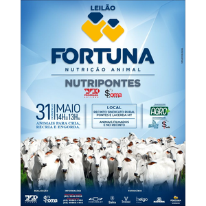 Leilão Fortuna Nutripontes - Programa e Soma Leilões