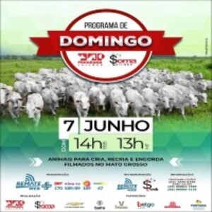 154° Programa de Domingo - Programa e Soma Leilões