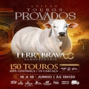 Leilão Touros Provados Terra Brava Agropecuária - 2º Etapa