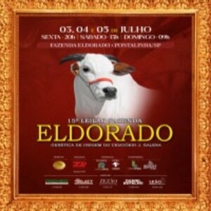15º Leilão Fazenda Eldorado