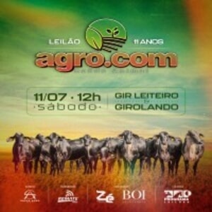Leilão 11 Anos Agro.com