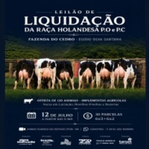 Leilão Liquidação da Raça Holandesa P.O e P.C - Fazenda do Cedro