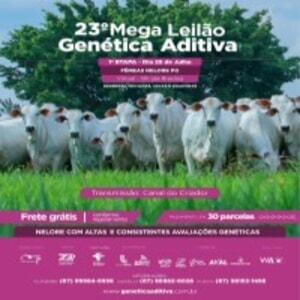 23º Leilão Genética Aditiva - 1ª Etapa Fêmeas