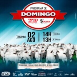 160° Programa de Domingo - Programa e Soma Leilões