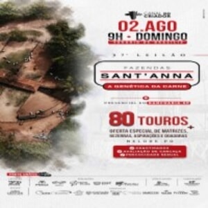 37º Leilão Fazendas Sant'Anna