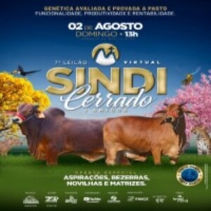 7º Leilão Sindi Cerrado & Amigos