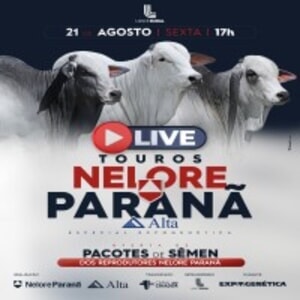 LIVE | Especial Aspirações Paranã & Casa Branca