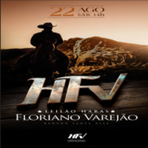 Leilão Haras Floriano Varejão