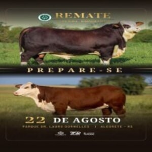 Leilão Remate Fazenda Esperança
