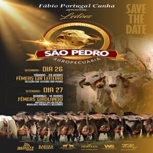 Leilão Virtual São Pedro Agropecuária - Girolando