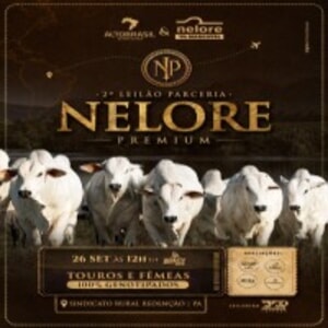 2º Leilão Parceria Nelore Premium