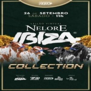 Leilão Virtual Nelore Ibiza Collection