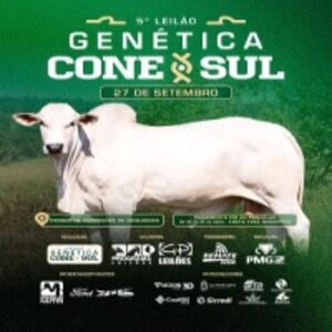 5º Leilão Genética Cone Sul
