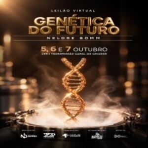 Leilão Genética do Futuro Nelore Bomm - Etapa I