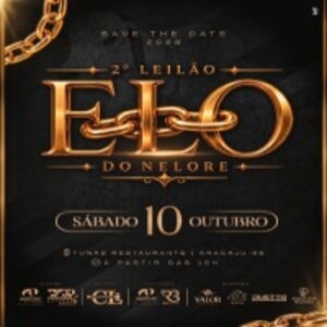 2º Leilão Elo Do Nelore