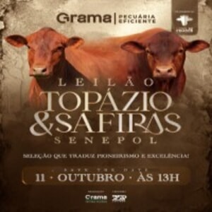 Leilão Topázio & Safiras Senepol da Grama
