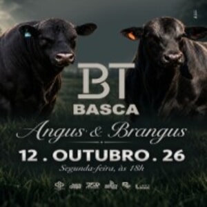 Leilão BT Basca Angus & Brangus