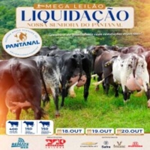Mega Leilão Liquidação Nossa Senhora do Pantanal