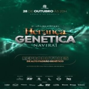 2º Leilão Virtual Herança Genética Naviraí - Reprodutores