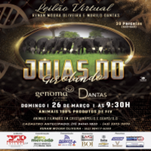 Leilão Virtual Joias do Girolando - Genoma & Dantas