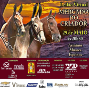 Leilão Virtual Mercado do Criador