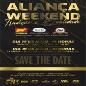 Leilão Virtual Aliança Weekend - Girolando