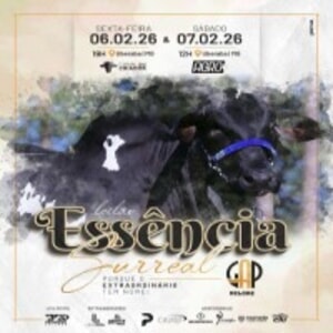 Leilão Essência Surreal Nelore GAP - 2ª Etapa