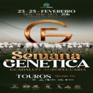 Leilão Virtual Semana da Genética Guadalupe Agropecuária - Touros