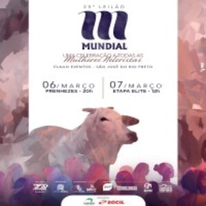 25º Leilão Mundial - Prenhezes